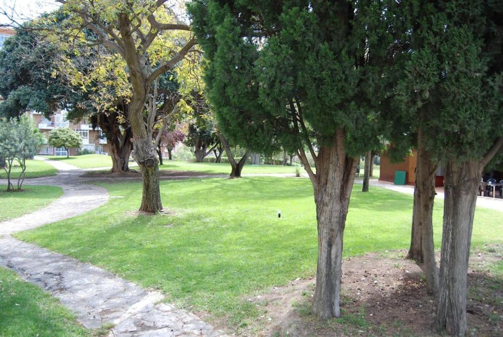 贝纳尔马德纳Sol Y Playa公寓 外观 照片